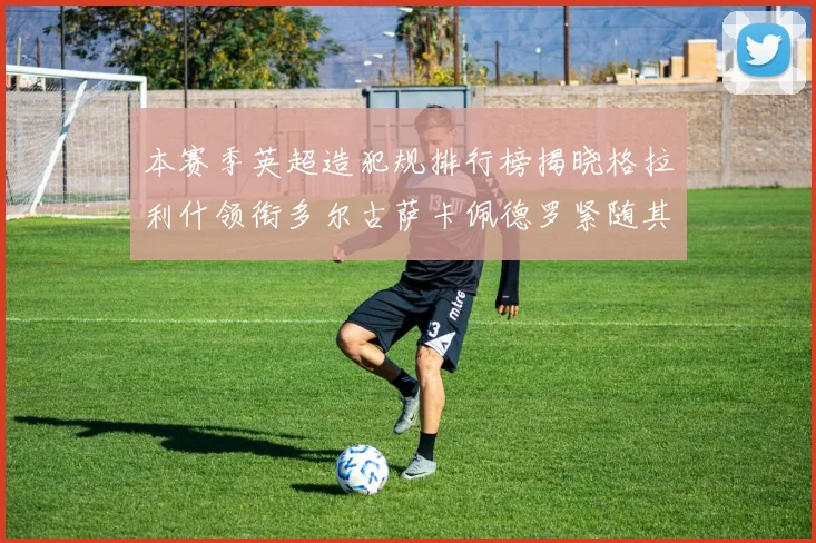 本赛季英超造犯规排行榜揭晓格拉利什领衔多尔古萨卡佩德罗紧随其后