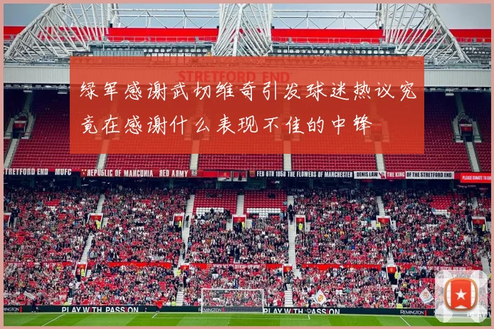 绿军感谢武切维奇引发球迷热议究竟在感谢什么表现不佳的中锋