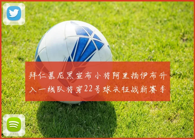 拜仁慕尼黑宣布小将阿里扬伊布升入一线队将穿22号球衣征战新赛季