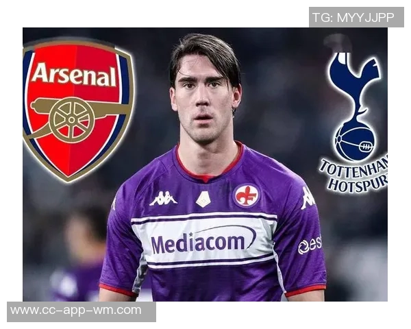 弗拉霍维奇伤情严峻预计至少需休养五到六周或更久 弗拉霍维奇伤情严峻预计至少需休养五到六周或更久